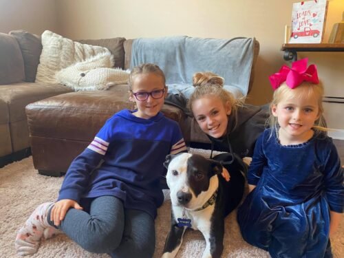 The girls with D's dog, Harley. This is the day they all met on Valentine's Day